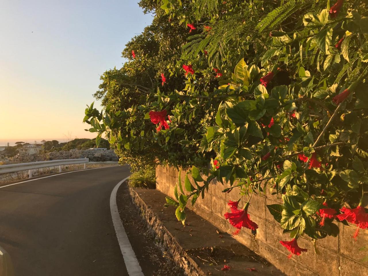 Meedafu'S Yui Hostel And Coffee โยรน ภายนอก รูปภาพ